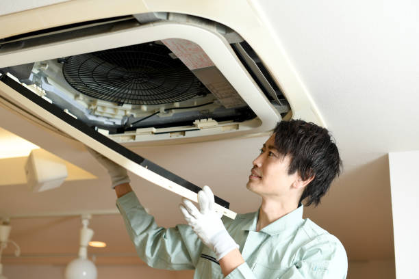 Best Air Duct Mold Removal  in Toledo, OR